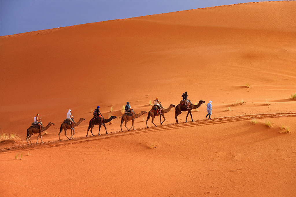 camel-treking-bg