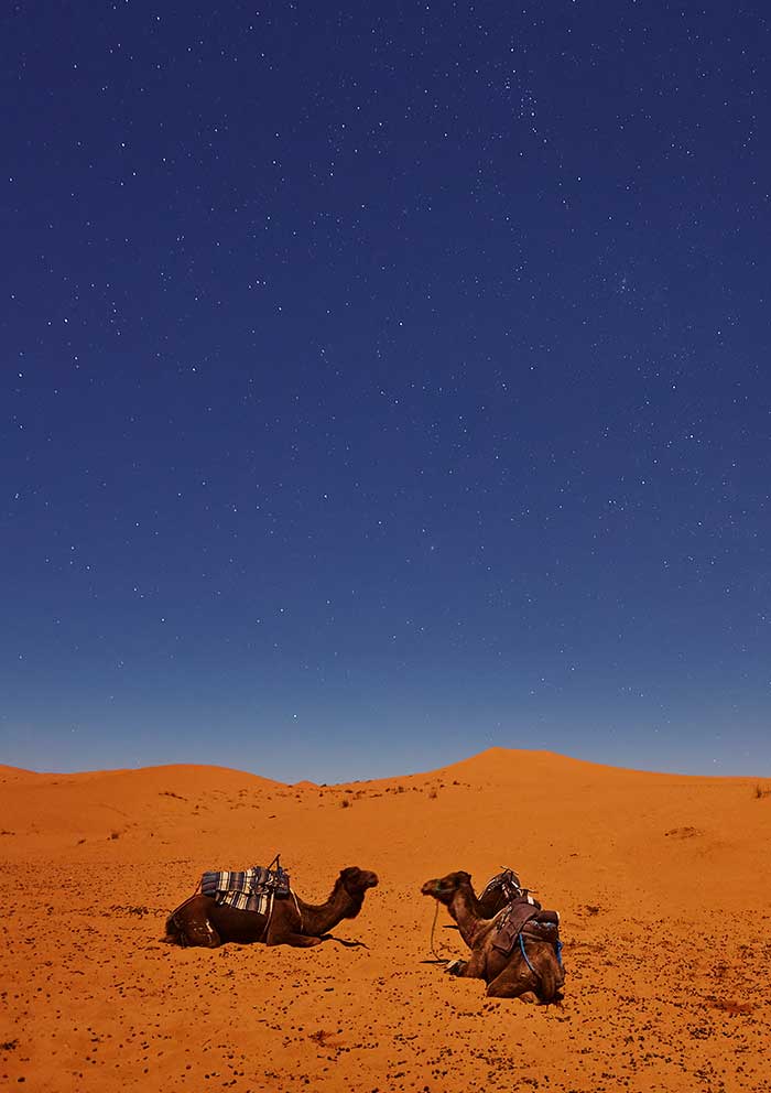 zagora 6 days tour from Marrakech to Zagora