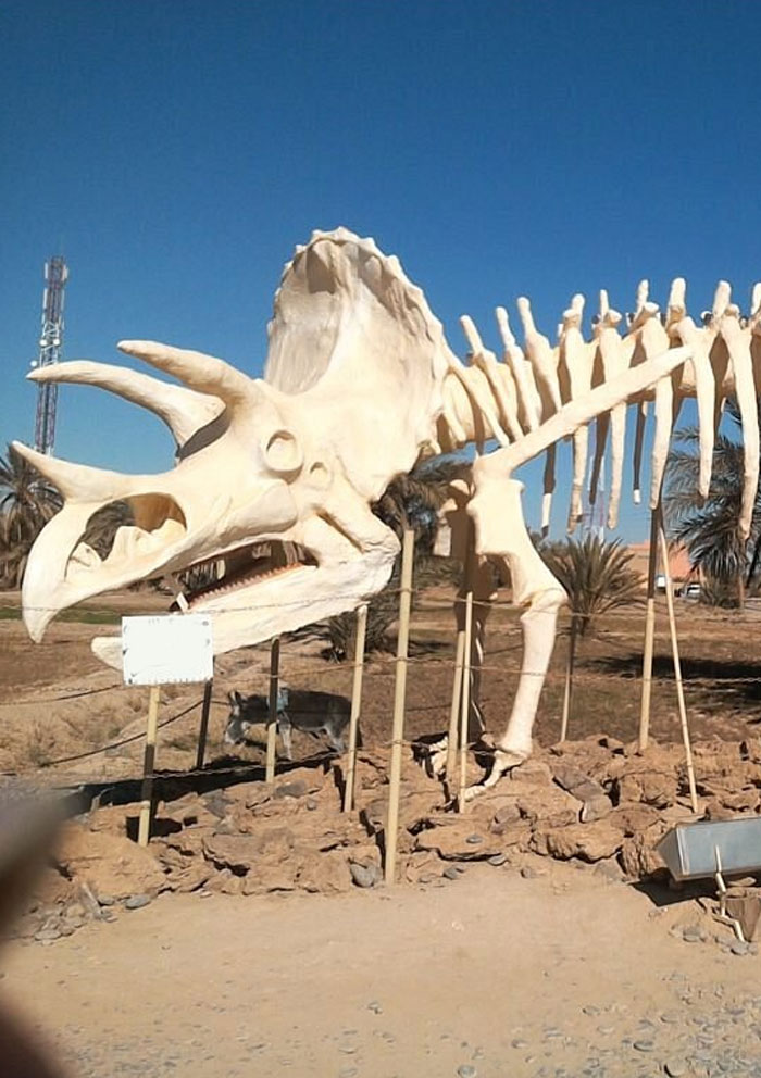 3 Days desert tour from Marrakech.
